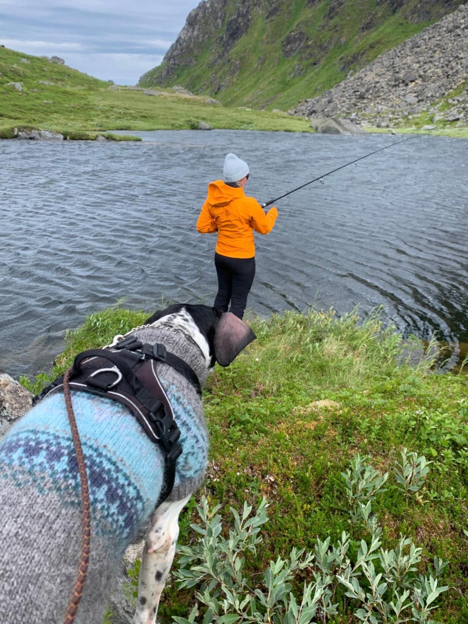 Liten Leilighet Inkludert Frokost Valberg المظهر الخارجي الصورة